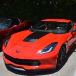 StElizabeth_007 (June 16, 2017)